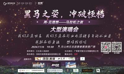 黑马之姿，冲破桎梏丨“再·见理想-马拉松之夜”万人演唱会即将在普者黑景区热火开唱！
