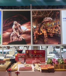 “中国火城·浪漫花都”精彩亮相2024中国国际旅游交易会