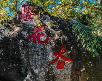 打卡云南 | 第94件小事：樱花、温泉、森林......腾冲樱花谷给你想要的旅行