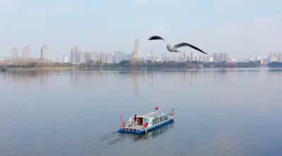昆明观鸥“海陆空”全攻略，带你玩转冬日浪漫！