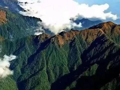 打卡云南 | 第215件小事：暑期来怒江探索高黎贡山，开启与植物的“对话”之旅