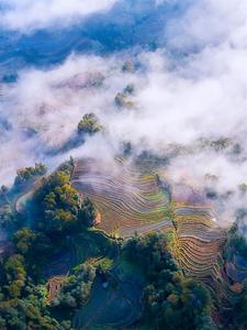 “最云南”·玩转红河丨漫步云端，赏冬日盛景