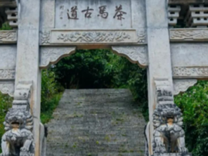 打卡云南 | 第222件小事：徒步普洱茶马古道，解锁一步一景茶马文化