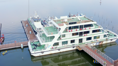 昆明观鸥“海陆空”全攻略，带你玩转冬日浪漫！