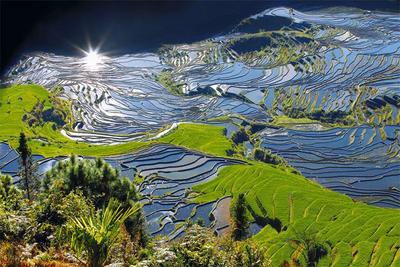 旅居云南 红河最好在丨梯田云海、马帮侨乡，赴一场红河县的暖冬之旅