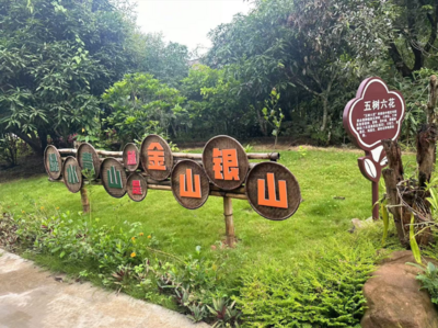 南腊河康养度假营地：坚持生态优先、绿色发展，携手共建“美丽家园”