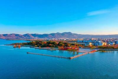 蛇舞新春 乐游玉溪丨江川区新春旅游线路推介