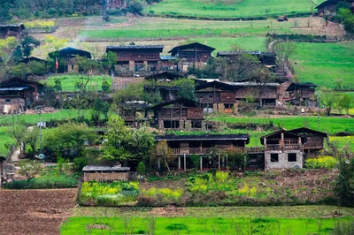 来雾里村开启一场心灵之旅