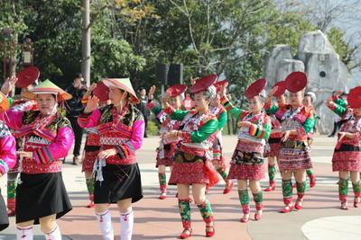 蛇舞新春 乐游玉溪丨新平县2025年春节暨花街节活动火热来袭