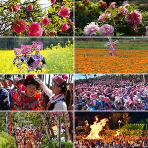 收藏！2025年楚雄最佳旅行时间表出炉