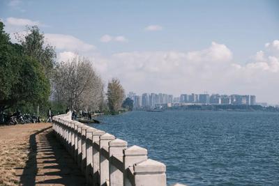 到福保半岛吸“鸥”气 打开冬日游玩正确方式
