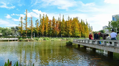 蛇舞新春 乐游玉溪丨红塔区新春旅游线路推介
