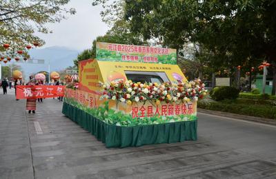 2025年欢欢喜喜过大年——“春到万家”系列活动之“我在暖冬元江过春节·非物质文化展演”精彩上演！