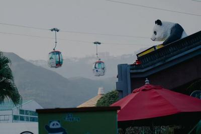 探寻神奇动物之旅 拥抱海底奇观  这个春节就来香港海洋公园共贺新春