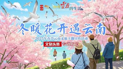 冬暖花开遇云南丨来共享“寻味云南” 开启茶咖之旅