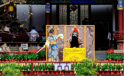 云南文旅志愿潮 这一波操作太“圈粉”！