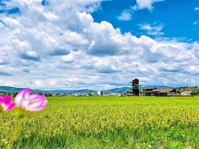 红河文旅周报丨红河州一地入选2025年全国秋季“村晚”示范展示点名单