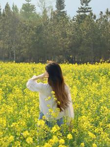 图集丨油菜花田里，有最明媚的春光！