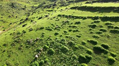 惊喜云南丨到水墨施甸，赴一场登山之约
