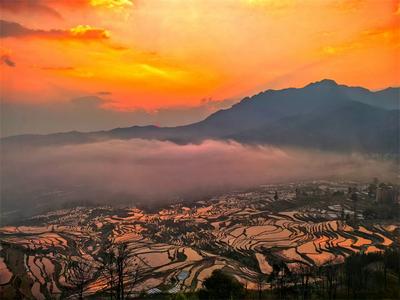 今天，与世界一起欣赏哈尼梯田的光影盛宴