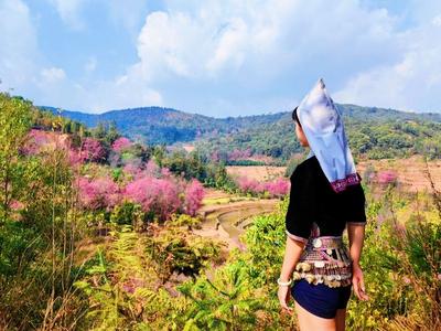 旅居云南 红河最好在 | 来红河，感受一种“始于山水 归于烟火”的美好