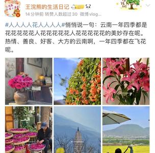 七彩云南，好评连连！