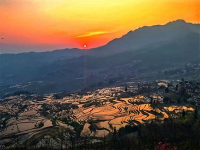 旅居红河 畅享四季 | 春游红河，美景如梦来
