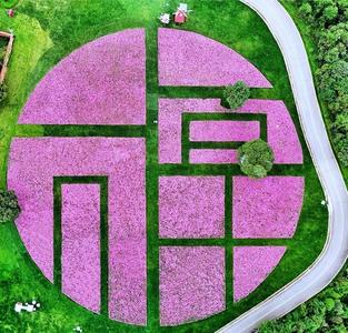 永仁方山花漾“五一”，盡享悠閑假日