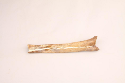 探源一甲子 传薪向未来——楚雄州博物馆对元谋人的保护与传承