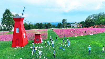10条线路，10种玩法！“五一”畅游楚雄，“十全十美”攻略请收好