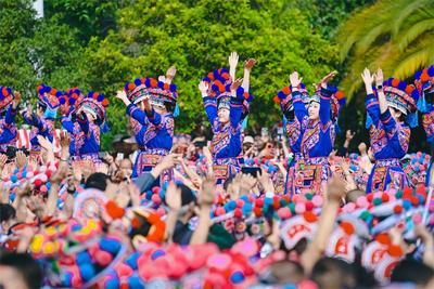 2025牟定“三月會”交出耀眼成績單