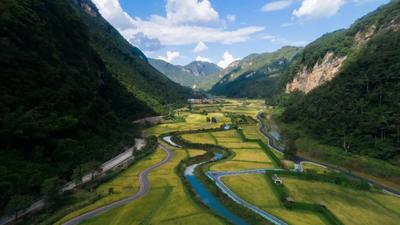 循著茶香與山風，去臨滄詩意棲居