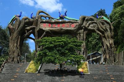 中國旅游研究院推薦100個值得去的國內小城之云南·芒市