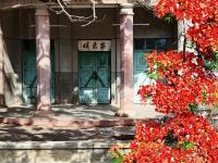 今夏之约：邂逅开远凤凰绝色！
