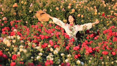 走，去楚雄“花期乡遇”！