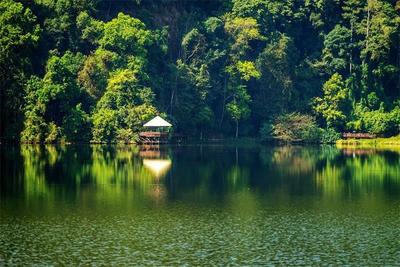 5·19中國旅游日 | 普洱文旅惠民“大餐”來啦！