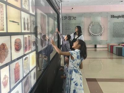 紅河州“5·18國際博物館日”活動預告來了！