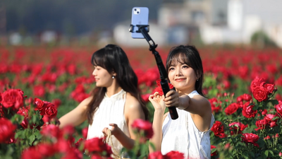 花期乡遇！开启“旅居楚雄·浪漫赏花”之旅