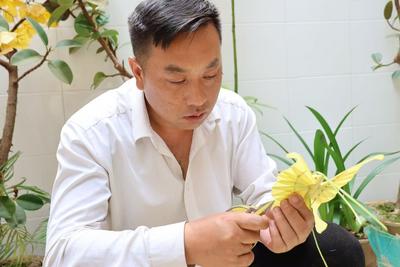周末到玉溪看比賽｜一葉生百態！江川棕編非遺里的“動物世界”