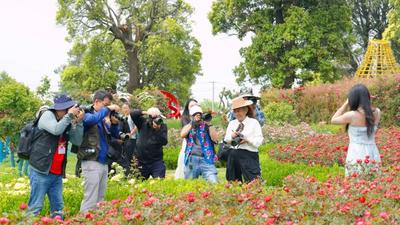 楚雄永仁方山携手摄影家协会打造区域文旅新名片