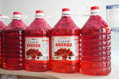 旅居紅河 村長有請 | 村寨為筆、文化為墨 繪就紅河鄉村旅居新韻味