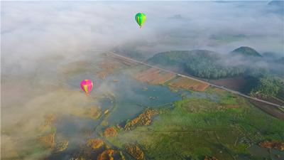文山把仙草秘境旅居村搬进南博会