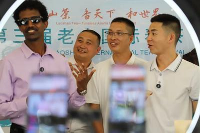 华春莹现场推介！云南“老山茶”将走进联合国总部