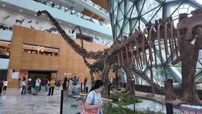 “龙吟九州 中国恐龙大展”暨旅居禄丰文旅宣传周活动沪上开幕