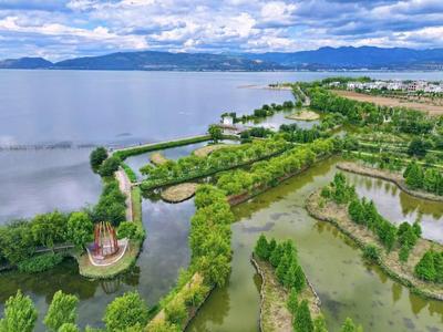 温润玉溪 旅居福地丨江川星云湖：一径绿风渡夏炎