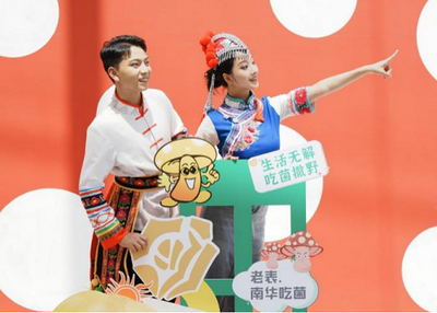 世界野生菌王国南华，喜迎今夏首批“菇勇者”旅游团，开启山野菌香狂欢季