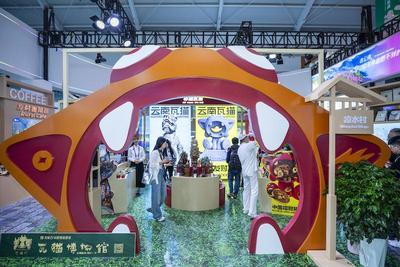 第9届南博会设置瓦猫展区，云南非遗绽放国际盛会
