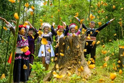 “亿”只蝴蝶，舞动金平文旅新画卷