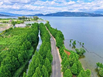 温润玉溪 旅居福地丨江川星云湖：一径绿风渡夏炎