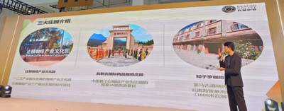 三园亮相南博会 展现中国精品咖啡黄金产区的农文旅融合实践